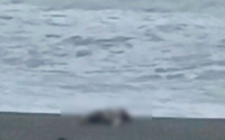 Rinvenuto cadavere sulla spiaggia di Coreca, è il secondo in pochi giorni sul versante Tirrenico dipiu2-at-18.59.12_18eec.jpg