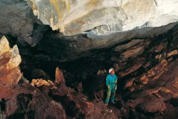 Dalle ossa al Dna: svelata la vita di una comunità preistorica in Calabria dna-calabria_4301e.jpg