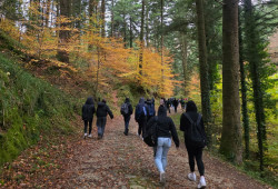 Dalla mostra micologica alle antiche carbonaie: giornata di apprendimento nella natura per il Polo Einaudi di Lamezia einaudi-4_492e8.jpg