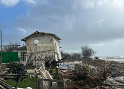 Fai Cisl Calabria: "Migliaia di ettari devastati, servono misure di ristoro immediate" falerna-15.18.35_f5d1a_42ed2_e6159.jpg