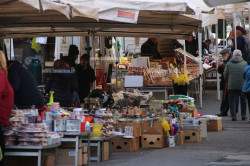 Lamezia, dall'1 al 3 febbraio si rinnova la fiera di San Biagio: chiusi alcuni plessi scolastici fiera-san-biagio-2024-c9ae-4bf4-91f3-fa48ed7980b4_a12ce_b64f9_9be1c.jpg