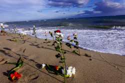 Familiari e superstiti del naufragio di Cutro: "Noi lasciati da soli" fiori-cutro470cc0e4c404ac_30875_82d63_eb969_b4816_d500f_cbb77.jpg