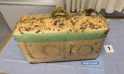 Controlli antidroga della Polizia, a Gizzeria trovati oltre 38 kg di hashish sulla spiaggia foto-panetto-ok_aac65.jpg