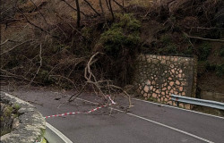 Frana sulla statale 19, chiuso al transito tratto tra Tiriolo e Pratora frana-tiriolo-2026-02-07-alle-09.25.09_af69a.jpg