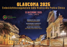 Lamezia, “Innovazione e chirurgia mini-invasiva": il 13 dicembre dibattito sul glaucoma glaucoma-2025_79465.jpg
