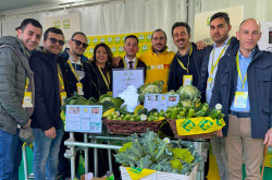 Premio nazionale Oscar Green di Coldiretti, Calabria sul podio con società cooperativa di Decollatura green-2026-03-13-alle-15.13.41_0cfb1.jpg