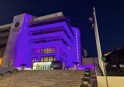 Sede del consiglio regionale della Calabria si illumina di viola per Giornata internazionale contro l'Hpv image0_4f39e.jpg