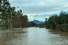 Il fiume Crati esonda di nuovo, allagati i "Laghi di Sibari" laghi198465189_c4d43.jpg
