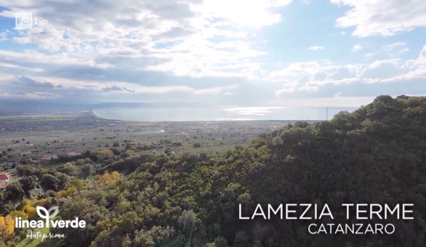 Lamezia e l’hinterland protagonisti nella puntata di “Linea Verde”: un viaggio tra agrumeti e ulivi secolari lamezia-prima_adf17.jpg