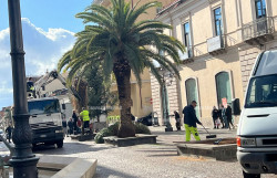 Lamezia, lavori e allestimenti natalizi su corso Nicotera: rimosse le palme secche lavori-2025-12-04-alle-10.37.08_295ad.jpg