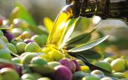 Giornata mondiale della salute, l’olio extravergine di oliva alleato del benessere olio-calabria_366c4_f9788.jpg