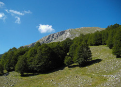 Uncem Calabria presenta un progetto di legge regionale sulla montagna parco-pollino_b71c9_d10ba.jpg
