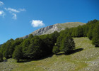 Gruppo di turisti si perde nel Parco del Pollino, ritrovati parco-pollino_f5f4a.jpg