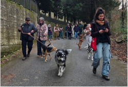 Passeggiata a 4 zampe per le vie di Martirano Lombardo promossa dal gruppo "CambiaMenti" pass-4-zampe-martirano_dd9c3.jpg