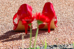 La Calabria contrasta la violenza di genere con il progetto “Donne libere” scarpe-rosse-violenza-donne_f2441_5ac00_45adb_02506.jpg