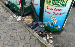 Lamezia, degrado attorno ai cassonetti per indumenti usati vicino alle scuole: vestiti e scarpe diventano rifiuti vestiti-2025-12-05-alle-12.28.55_133c4.jpg