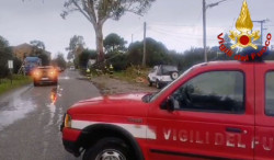 Dopo maltempo torna il sole in Calabria: 221 interventi dei Vigili del Fuoco per alberi caduti, allagamenti e verifiche vvf-2026-01-11-alle-08.39.33_7827b.jpg